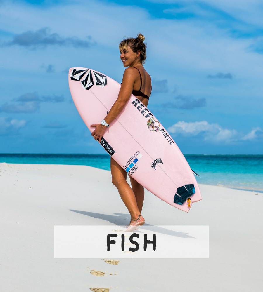 Fish Surfboards